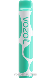 VOZOL JOYGO 600 MENTHOL 6V8R387 - VOZOL vape review