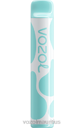 VOZOL JOYGO 600 RAINBOW CANDY 6V8R391 - VOZOL vape best flavor