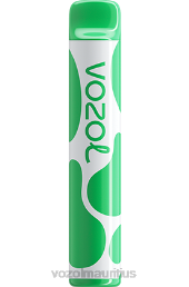 VOZOL JOYGO 600 WATERMELON ICE 6V8R395 - VOZOL vape Mauritius