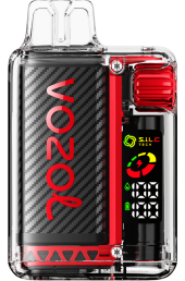 VOZOL VISTA 16000/20000 RASPBERRY WATERMELON 6V8R13 - VOZOL vape flavors