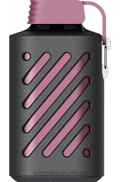 VOZOL GEAR 10000 PASSION FRUIT RASPBERRY TANGERINE 6V8R300 - VOZOL vape sale