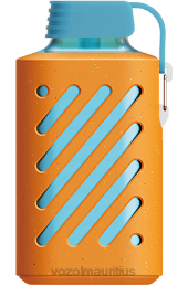 VOZOL GEAR 10000 RASPBERRY TANGERINE 6V8R305 - VOZOL vape Mauritius