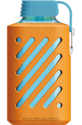 VOZOL GEAR 10000 TANGERINE MANGO GUAVA 6V8R312 - VOZOL Port Louis