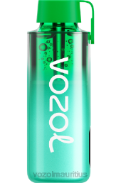 VOZOL NEON 10000 MIAMI MINT 6V8R229 - VOZOL vape amazon