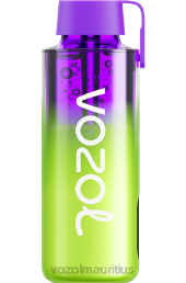 VOZOL NEON 10000 RASPBERRY WATERMELON 6V8R237 - VOZOL vape review