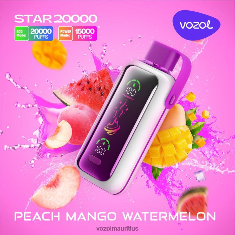 VOZOL Vape Best Flavor - PEACH MANGO WATERMELON VOZOL STAR 20000 2VLVBH16
