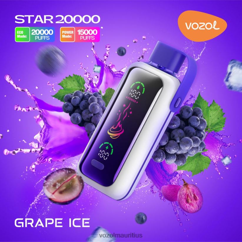 VOZOL Vape Buy Online - GRAPE ICE VOZOL STAR 20000 2VLVBH9