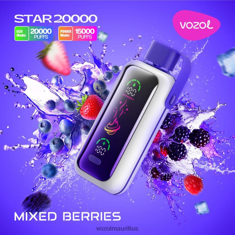 VOZOL Vape Price - MIXED BERRIES VOZOL STAR 20000 2VLVBH14