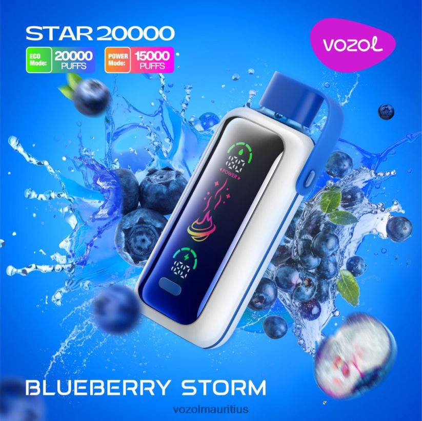 VOZOL Vape Review - BLUEBERRY STORM VOZOL STAR 20000 2VLVBH5
