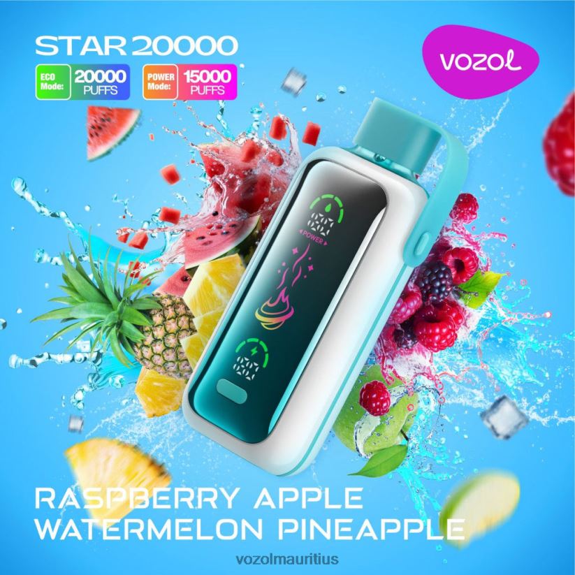VOZOL Vape Sale - RASPBERRY APPLE WATERMELON PINEAPPLE VOZOL STAR 20000 2VLVBH18