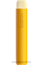 VOZOL STAR 600 LEMON PASSION FRUIT 6V8R86 - VOZOL vape price