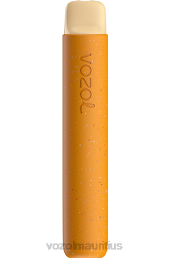 VOZOL STAR 600 STRAWBERRY BANANA 6V8R94 - VOZOL Mauritius