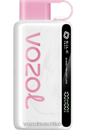 VOZOL STAR 9000/12000 PEACH ICE 6V8R45 - VOZOL vape Mauritius