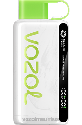 VOZOL STAR 9000/12000 STRAWBERRY KIWI 6V8R31 - VOZOL vape best flavor