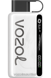 VOZOL STAR 9000/12000 TOBACCO 6V8R33 - VOZOL vape flavors